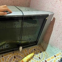سي جيزان • شغال • البصرة