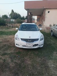 التيما • ٢٠٠٨ • صبغ عام