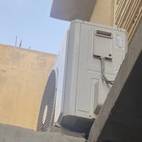 توست • ٢ طن • بابل