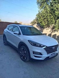 توسان • ٢٠١٩ • رقم اربيل