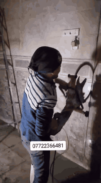 كتر لكص • قلع صب • جميع المحافظات