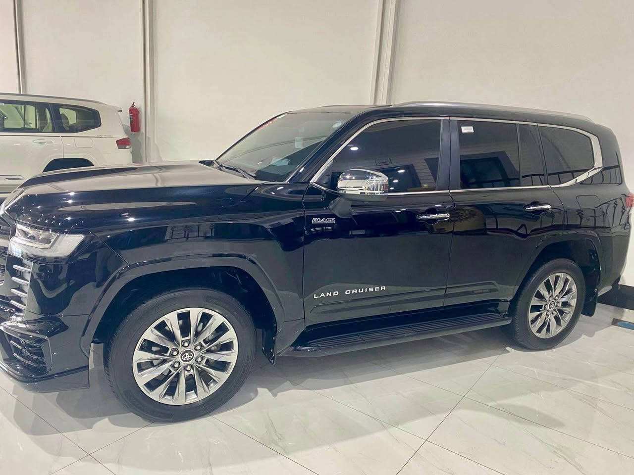 ***********
موديل-٢٠٢٥ أربيل, العراق
