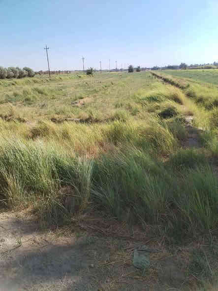 قطعه سند زراعي 25 اطراف البستان 989 متر ترهم مزرعه وترهم سكن كهرباء ومي واصلها مكانها الشهابي الاولى خلف معمل الحراريات السعر
14 وبيها مجال بسيط 
***********
