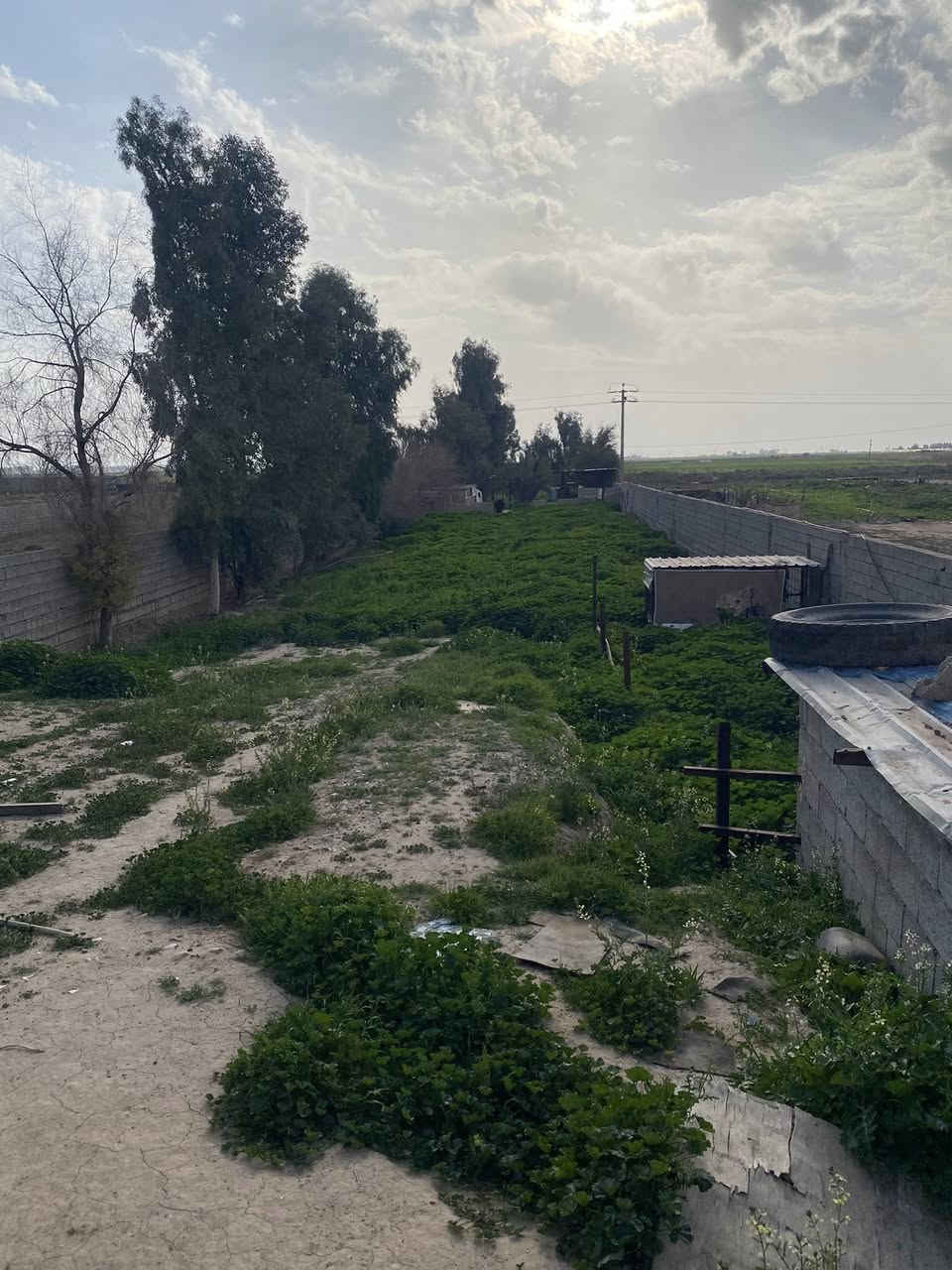 الوطن للعقارات 
   اعلان رقم 46
مخزن والأرض طابو زراعي
 
🔴مساحة 3750 متر   

الموقع مميز على شارع العام بين طوز وكركوك 
مقابيل كص حجي صباح
 
#عقارات_الوطن 

للمزيد من تفاصيل يمكنكم اتصال على الرقم فقط اتصال رجاءً 

☎️ ***********

#عقارات_الوطن
