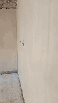 اصطه بياض ترميم كرسته وعمل***********
