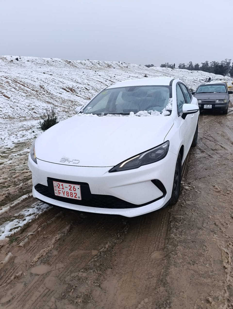 مراوس او بيع
BYD  سيل فايف

انتبه السياره : هايبرد & بانزين & كهرباء🔥 
اللون ابيض  
داخل ابيض المرغوب
المواصفات 
♦️زيرو
♠️موديل 2025
♦️حساسات خلفيه
♣️حجم المحرك 1,5L
♦️شاشه اصليه 
♠️كامره خلفيه
♦️هند بريك كهرباء
♣️اوتو هولد
♦️مفتاح التشغيل بصمه+كارت 
♠️تحكمات مقود
♦️مقول جلد حياكه 
♣️دخول ذكي
♦️اشاير بل مري
♠️المقاعد جلد
♣️ لد امامي LED
♦️بك لايت LED
♠️قطعتين تبريد
♦️كروس سرعة
♠️حجم الاطار 16
♦️مانع تزحلق

تواصل واتساب فقط
***********
