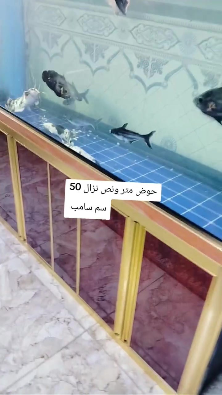 تصفية احواض


**إذا كنت صاحب هذا الإعلان وتريد حذفه لأي سبب، رجاءا أرسل رسالة إلى الدعم الفني**
