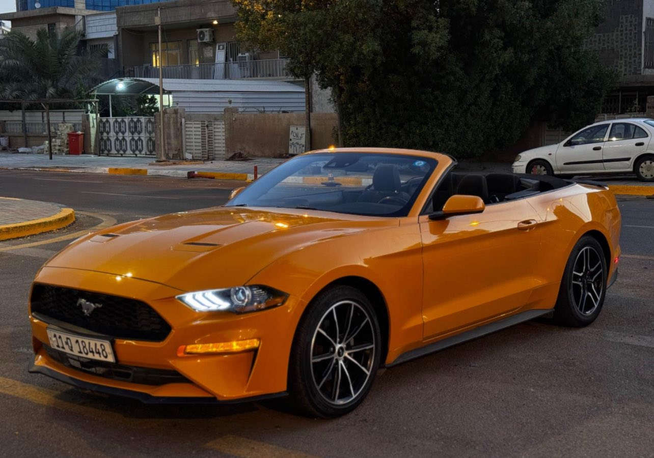 الغزالة للبيع 🧡
موستنك ايكو بوست 2022 كشف لون مميز

ماشية ١٦ الف السيارة بعدها بوضع الشركة وكلش نظيفة

مواصفات السيارة

كشنات كهرباء 🧡

كامرة خلفية 🧡

صندوك كهرباء 🧡 

ترحيب ذكي 🧡

تثبيت مسار 🧡

نقاط عمياء 🧡

رادارات محيطه خلفي وجانبي 🧡

تحكمات ستيرن 🧡

شاشة كبيرة 🧡

كار بلي 🧡

وغيرها هواي مواصفات ومواصفات الايكو بوست معروفة

السيارة حادثها سطحي جدا قطعتين جاملغ وشويه من البنيد واجه من امريكا الجاملغ مرشوش دبل كوت (كلير) بدون دواخل 🧡

السيارة ستوك مملعوب بيها وحتى حجر البيئه مملعوب بي ومكفوله كير ومحرك وتبريد وصدر وجديدات 🧡

السيارة رقمها بغداد الجديد وهزة جديدة وسنوية لل٢٠٣٠ 

السيارة بأسمي تحويل ثاني يوم

السيارة كلش نظيفة ومتتقارن بالمهجومات 🧡

وللعلم قبل ٣ ايام مبولشها للسيارة يعني تلمع لمع 🧡

مكان السيارة اليرموك بغداد 

سعر السيارة ١٨٥ وبيها مجال 🧡
للتواصل 
***********
