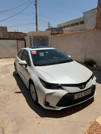 ‏للبيع فول كفالة عامة ٢٤ رقم الموبايل 07710751791 ￼