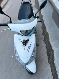 ماكس منغولي • شلعه • معدل