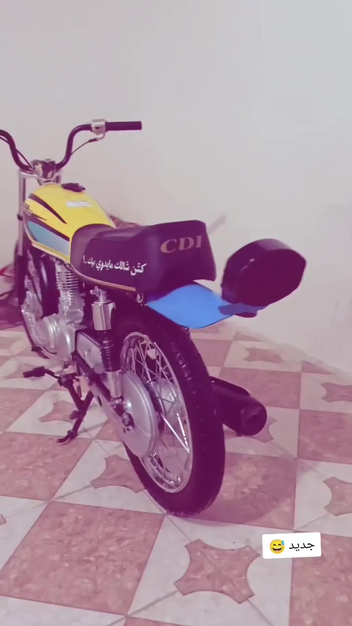 رابيدو للبيع كله 26 تعميرته من عمر الريس اوراق مكفوله كله سعر 650 مكاني بابل جبله ***********
