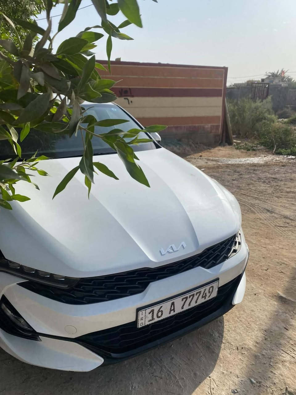 اوبتيما غاز 23 مكفوله
23 غاز مكفوله
 فول عدا البنوراما
 بصمه كامره رادار
 مكينه 2000
رقم قادسيه  الشراي يتصل هذا رقم صاحبها  *********** سعرها معقول جدا مكانها ديوانيه

