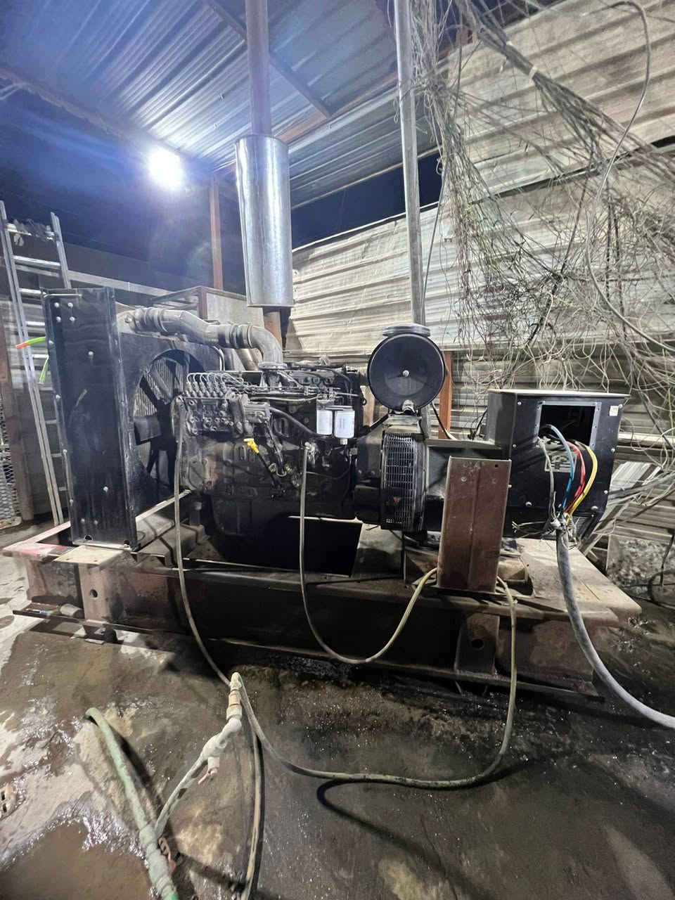 سلام عليكم اخوان مولدات كمنز 24 عدد 2 راس توليدهن 250كيفي اسم راس التوليد  ستام فورد اصلي مكاين خير من الله تجي تحمل عليها وتقتنع الى تاخذ محملهن 7500
اي استفسار تصال مع صاحب المولدات مباشر وبيك خير وتدلل ***********
عنوان بغداد الامين الثانيه
