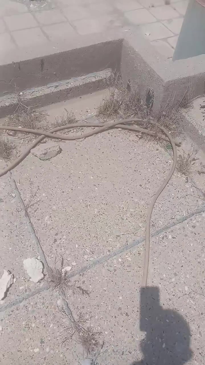 شقل نظيف
***********
