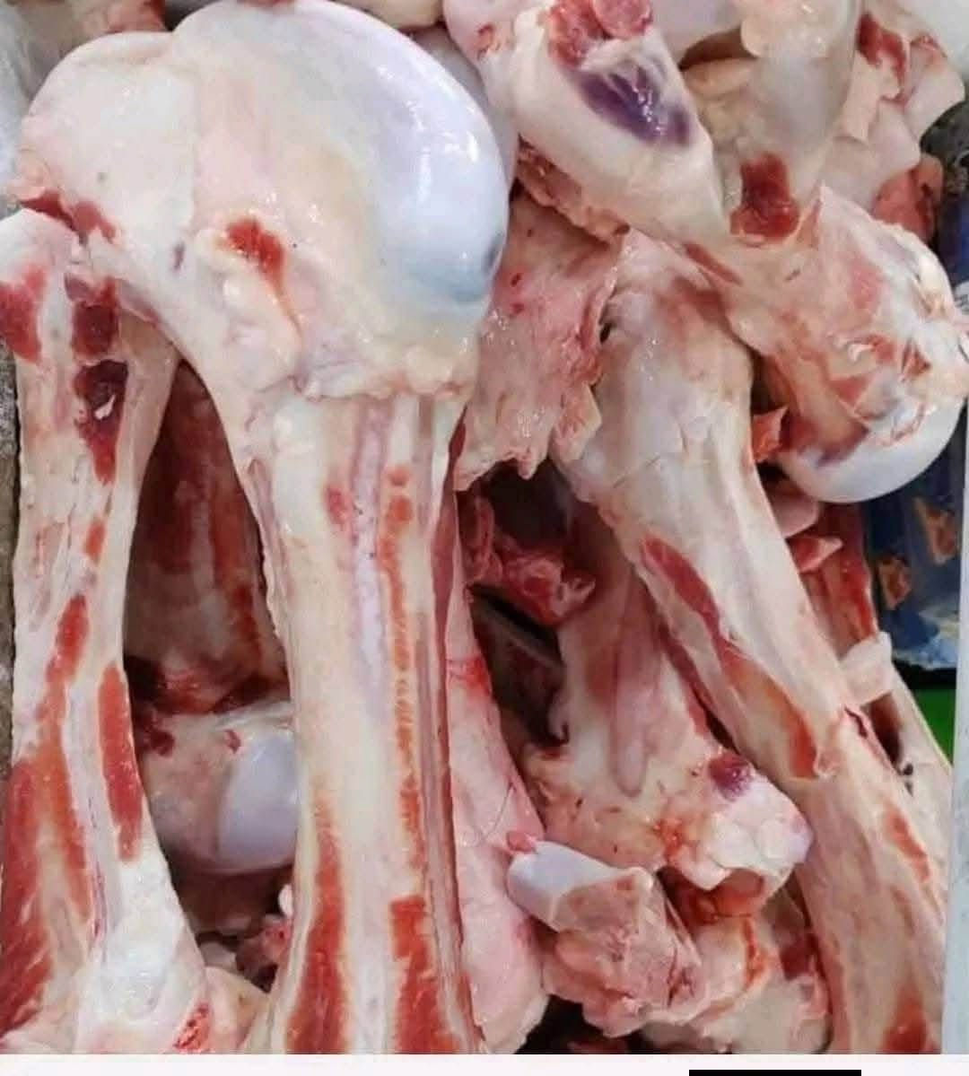 موجود فراسم ذبح.   كيلو ب6
موجود افخاذ كيلو ب6
موجود دجاجه كامله ذبح كيلو ب8
موجود اجنحه كيلو ب4
موجود صدر دجاج كيلو ب6
حواصل كيلو ب٣
كبد دجاج 3كيلوات ب10
ماعليك بس تدخل خاص وكلشي متوفر الطلب عليك والتجهيز علينه وتللون وتوصيل داخل الشطره الف 🥰


**إذا كنت صاحب هذا الإعلان وتريد حذفه لأي سبب، رجاءا أرسل رسالة إلى الدعم الفني**