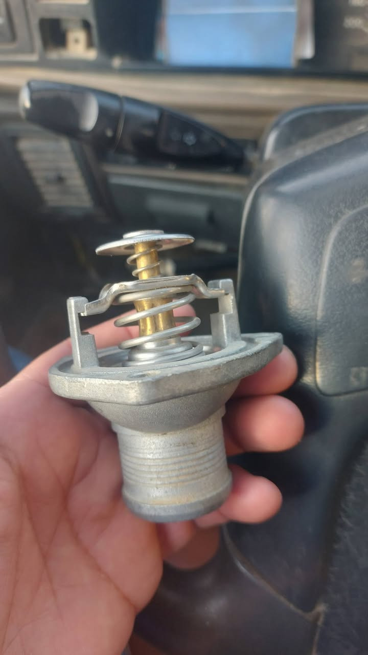 للبيع ولف حماوه اوبل اصلي السعر 25 واتساب ***********
