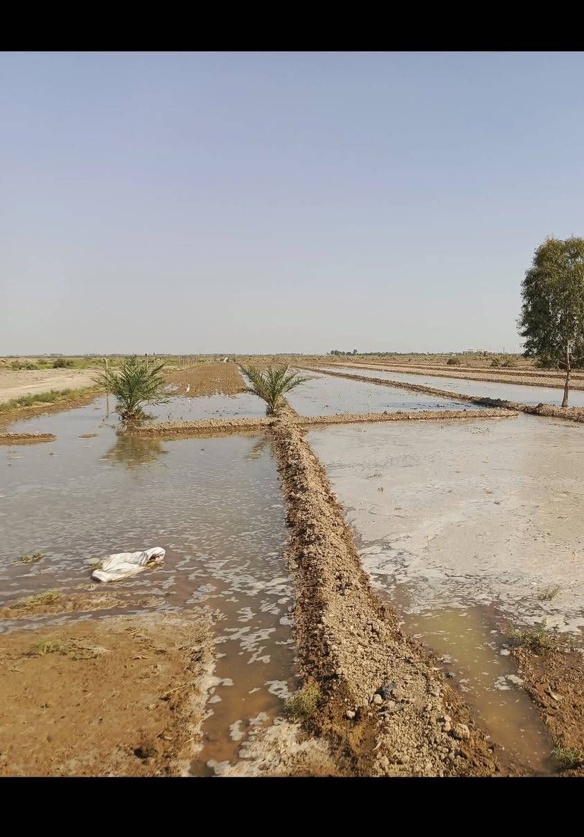 تبارك الرحمن السلام عليكم كاع للبيع ثلاثه دوانم طابو زراعة عقد 17كل الخدمات متوفره  بيه تبليط للباب مكان الكاع كطنيه متوفر بيه ماء رساله وكهرباء وشراي يتصل ***********
