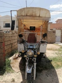 ستوت • موديل ٢٠١٩ • سنوية باسمي