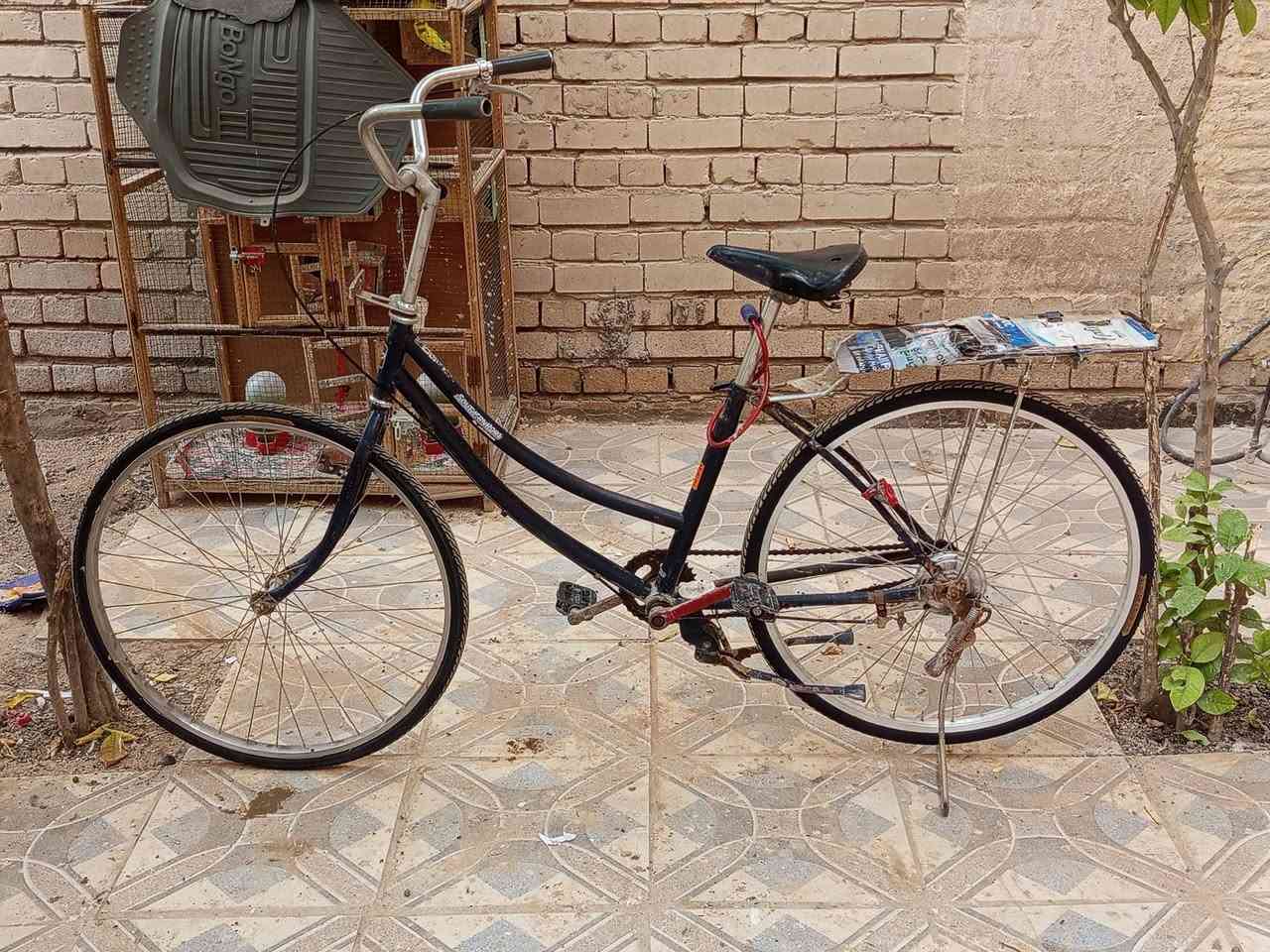 السلام عليكم
بايسكل للبيع نضيف حيل الله شاهد حجم 26 
مكانه بابل الحمزه الغربي اتصل برقم ***********
