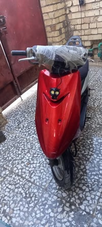 عصفوريه شغاله يرادله ترتيب سعر ١٥٠ بغداد الشعله ٠٧٧١٢٨١٧٥٥٩