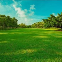 خلف مجمع الكوثر • ٣٧٥م • طابو زراعي