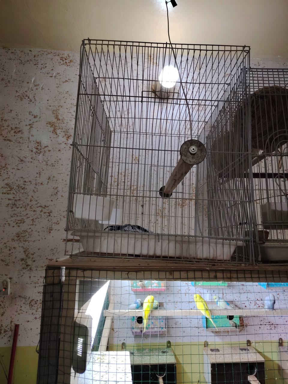 خانات 60×40×40السعر10وخانه60×40السعر8كربلاء الحر***********
