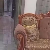 تخم • نضيف • بعقوبه المفرك