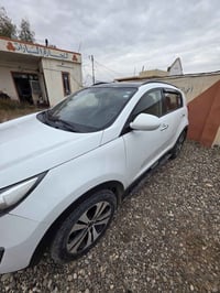 سبورتج بنوراما • ٢٠١١ • بدون صبغ