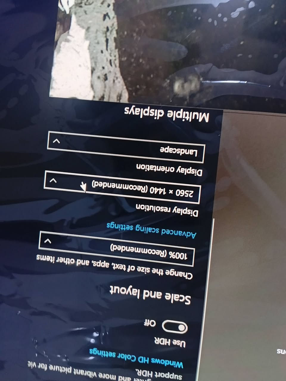 شاشه كيرف جديده مضروبه لل اسف بشحن 2k 165 هيرتز اكتب عليه 45 بلعافيه


**إذا كنت صاحب هذا الإعلان وتريد حذفه لأي سبب، رجاءا أرسل رسالة إلى الدعم الفني**