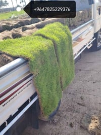 مزارع  الشمال للثيل الطبيعي 🍀 متوفر كافة انواع الثيل 🍀 ( امريكي - الهن...
