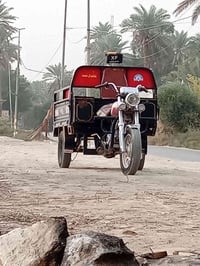 ستوته • نجف • اوراق وكيل