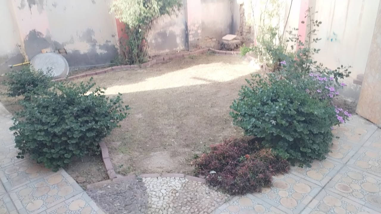 السلام عليكم لعمل الحدايق العامه والمنزليه اشتغل  وزرع تنضيف حدايق ترتيب قص ثيل مع ستوته نقل مخلفات.   والرزق على الله كل ماعليك مراسلت الصفحه او الاتصال ***********
