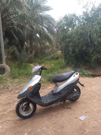 سكنس • فحل • نظيفه