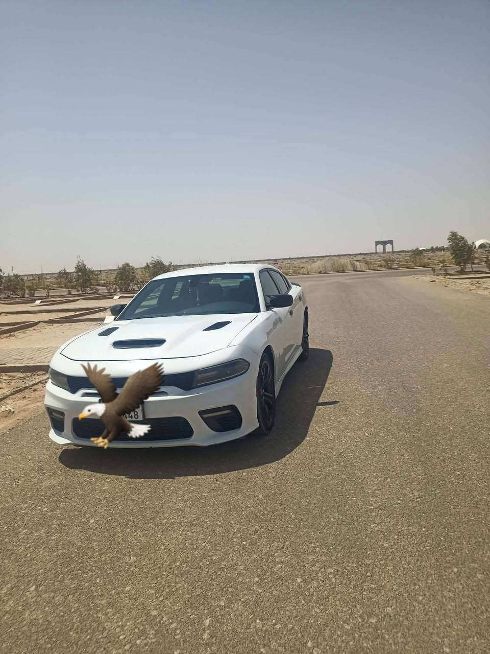 بنيد جارجر 16  قيم واخذ جلخ ما بي ***********
