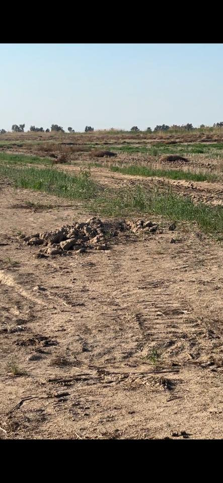 السلام عليكم چاير ضمان المساحه 100 دونم واسط صويره للاستفسار ***********
