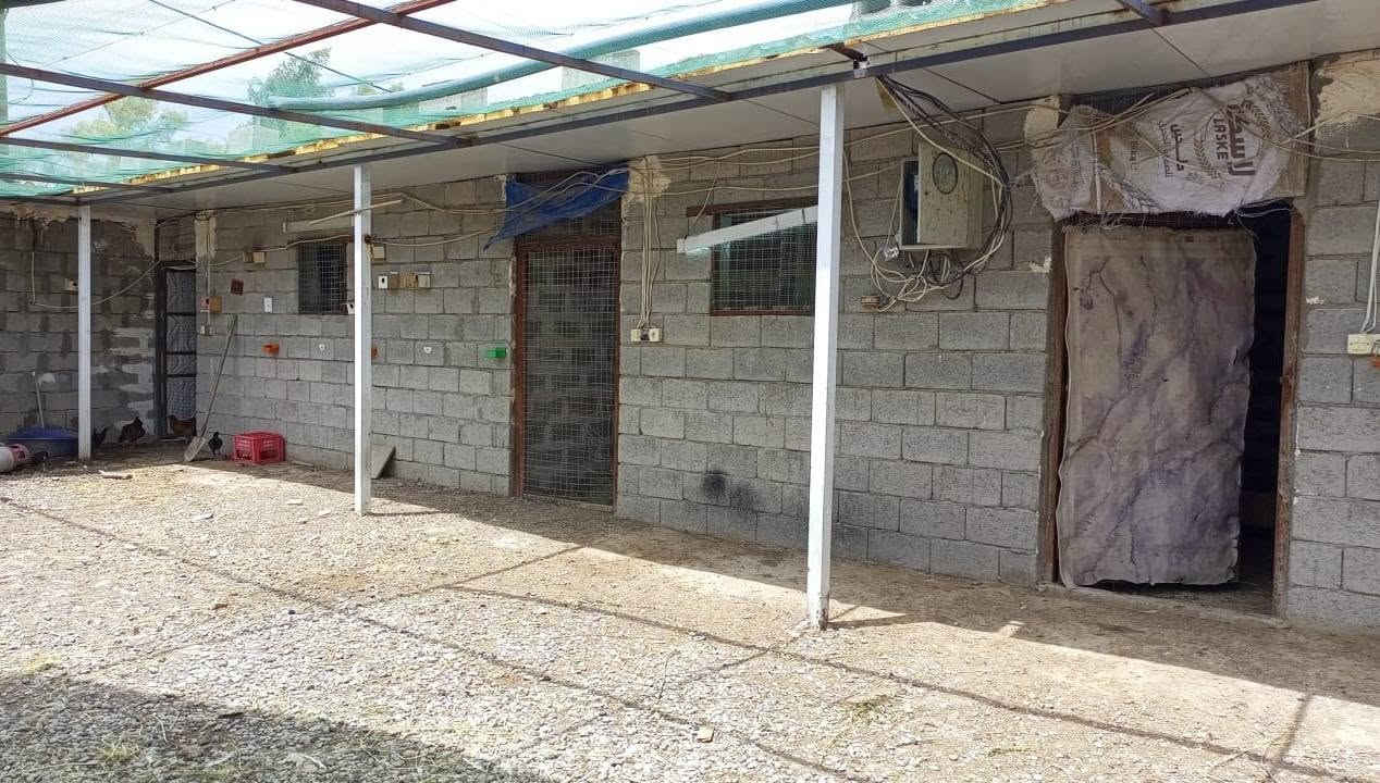 السلام عليكم، عدنا هالمكان مخصص للحيوانات للإيجار.
تكدر تجيب خروف🐑 ونربيه إلك، أو نعامة،🦢 أو غزال.🫎 فقط ربيطه...
عدنا حراسة 24 ساعة وكاميرات مراقبة موجودة بالمكان.👌🏻💗
العلف عليك، وإنت بس تدفع أجرة المكان👍
المكان آمن ومضمون.وبيها خمسة الغرف
اوبيها مبردة حته فنجس مايكدر يطلع من اهنا...😀
العنوان: كركوك، ترجيل، خلف معمل غاز التحرير. 🌷👉🏻 شكرا للجميع❤🙏
للستفسار..عل رقم.***********
