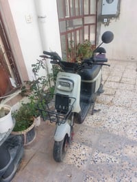 دراجة شحن • موديل ٢٠٢٥ • كهربائية