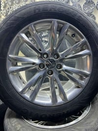 تخم ويل مكسيكي اصلي وهاي نضافته معروض بخمس ارواق شرق بدون الحيم او كسر...