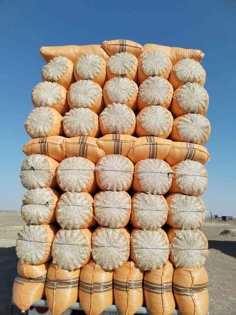 تبن مكروض درجه اولى واصل للبيت قياس 55/80 للاستفسار الاتصال ‏‪***********‬‏
