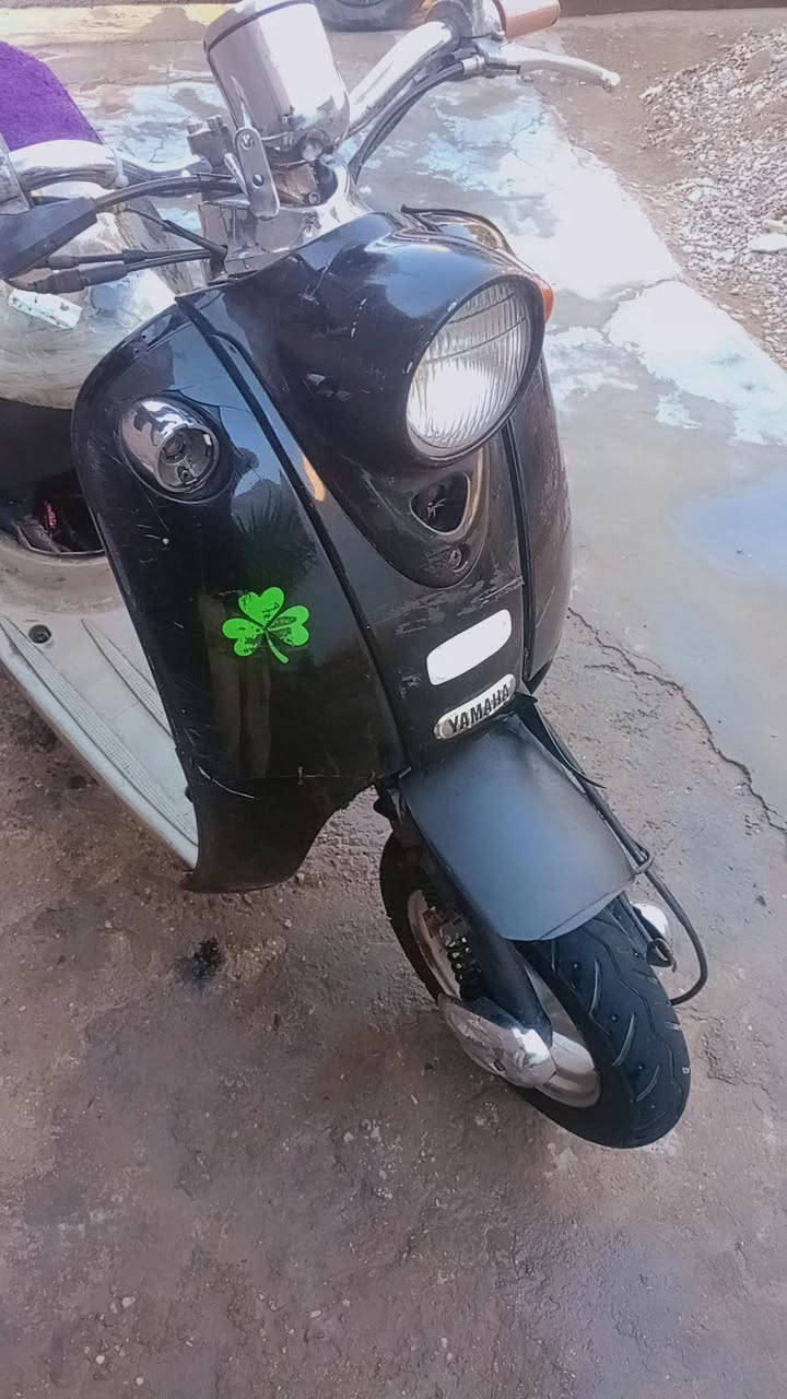 السلام عليكم دراجة عبد الحليم نثية دراجة خير من الله كهربائيات كلها شغالة بس ما بيها باتري الدراحة نكرة تايرات جديد بنزات بيريك جديدة دبلات شغالة وشرط شلعة المكان الشعب الثعالبة الثانية ***********
السعر 130وبيها مجال
