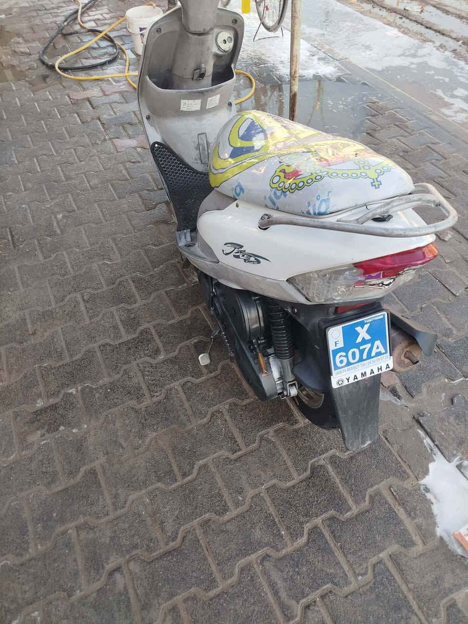 مكلف بل نشر هاذة رقم راعيهة ‏‪***********‬‏
