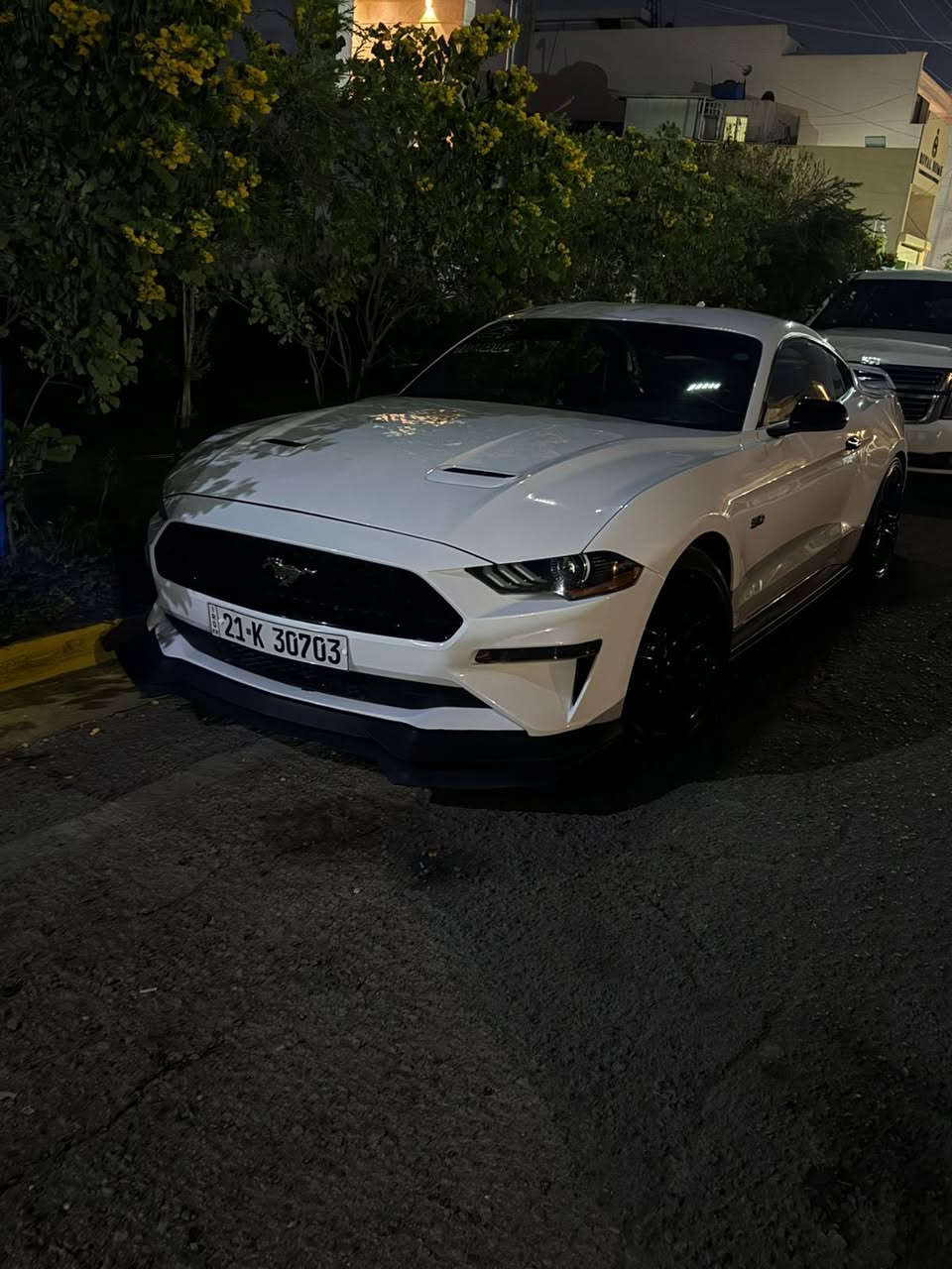 اللهم صلي ؏ـلى محمد وال محمد
متوفر موستنج 10 نمر Gt 2020 
نسخه الخمسينيه السياره فول واحد على واحد بريميوم اكتف اكزوز عدادت دجتيل وبعد سياره فول 
سياره عليه X بايب وبرمجة سيفتي 
حادث من امريكي شبر بارد بالجاملغ جهة السايق وايرباك جهة سكن صوره الحادث بالمنشور ماشيه سياره 29 الف ميل سياره خير من الله وتونس ومن انضف السيارات الي بموديله رقم سليمانيه 
السعر 265 وبيه مجال للطيبين 
مكان السياره بغداد شارع فلسطين و زيونه 
للتواصل رقم صاحب السياره
***********
