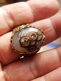 اكسسوار شخصي • توصيل