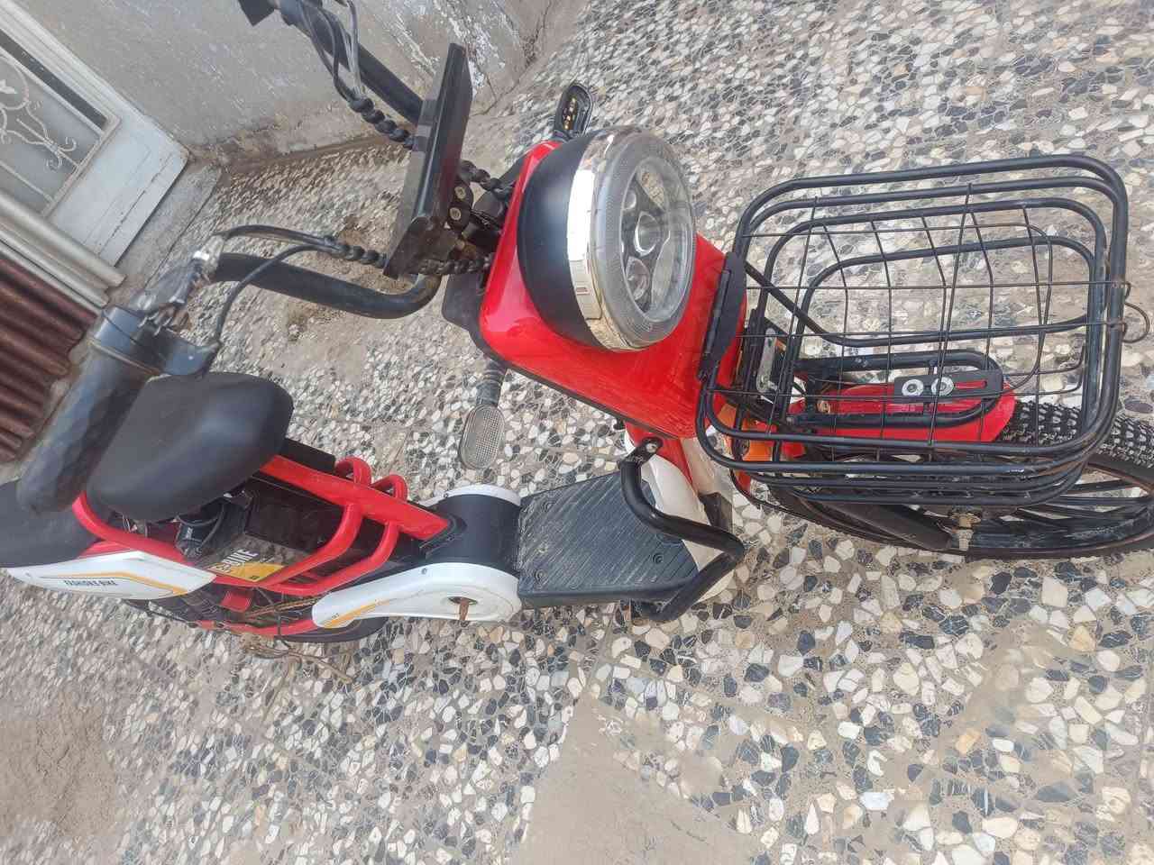 باسكل شحن حجم20
موديل2025
لون احمر
مواصفاته
تشغيل عن بعد
تشغيل كارت وسويج
اضائهLED بالجانب وبالخلف
اشاره وهورن شغالات
لايت عالي وناصي ثلجي
سماعه بلوتوث 
السرعه 99 والحقيقي تقريبا40
ملف حجم 500W
العقل حجم500W عقل وملف عملاقات وما بيهن اي عطل
البطاريات 4
(البطاريات مال الشركه كلهن قويات بس وحده تعبانه )
الباسكل اي كسر او نقوصات ما بي تجي تاخذه وتتوكل وربع ما تذب عليه

#المكان بابل الحله
#السعر 275 وبي مجال 
للاستفسار *********** موجود واتس اب
