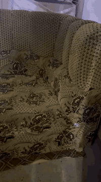 ديوان 11متر للبيع السعر 125 لتواصل على الرقم التالي 07502036227