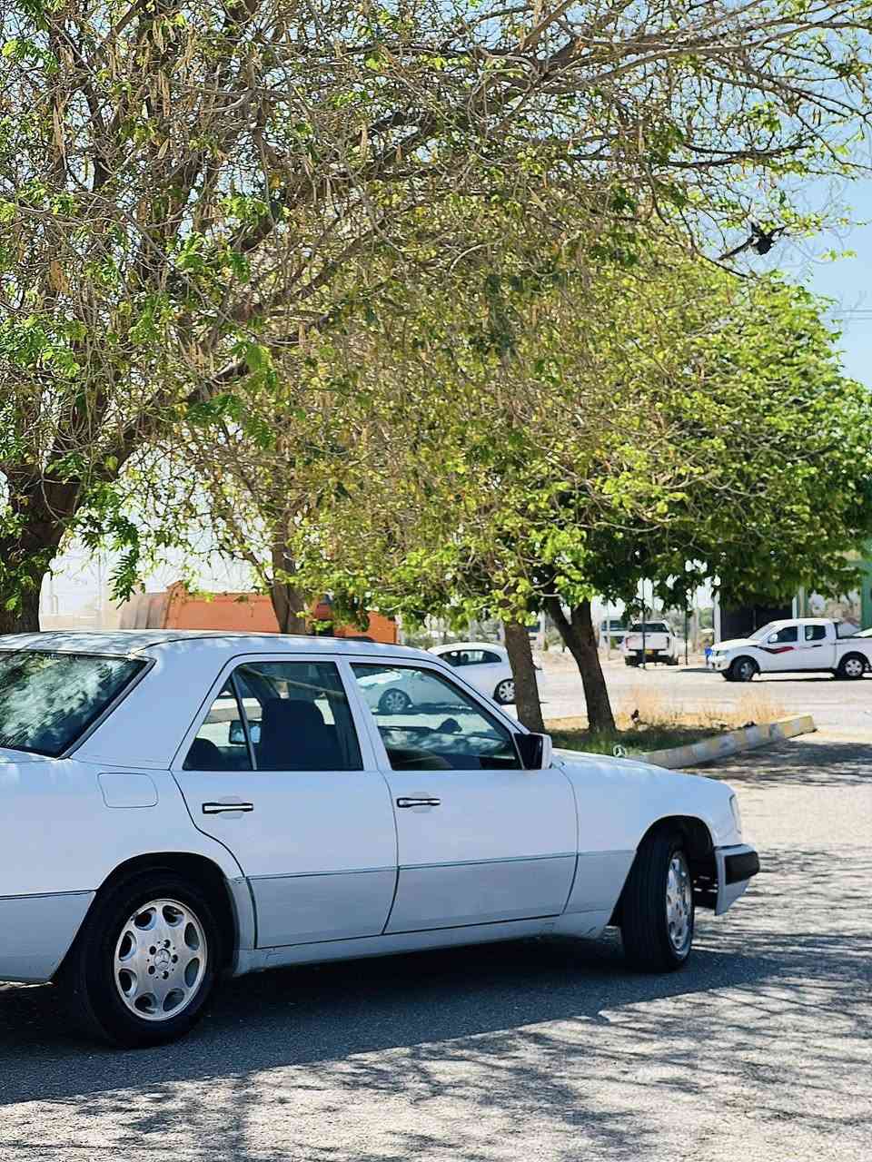 ماشاء الله ماشاء الله ✅✅

مرسيدس كوبيه شغل صفر ولوگ
موديل 1990
مكينة فيفتي 3 ألف

3 قطع صبغ بدون ضربة وعلى الصحة
السيارة كاملة مصرف، ما بيها دينار مصرف
4 تايرات ويلات لوك، قدام وورا جداد راكبات
السيارة بدون نواقص ومسوّية بالكامل
سيارة بيت مو مال معرض
السيارة بدون خياسة، ما بيها أي خياصات

 داخل ذهبي
كاميرة
4 جامات كهرباء
رقم أربيل
ABS

گير ومكينة وكهرباء بشرط 100 فيتر

السعر 78 ورقة ويا مجال بسيط

المكان: كلار
***********

:
