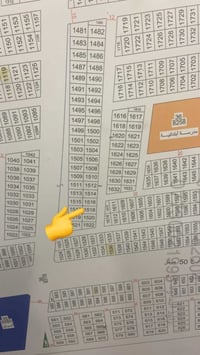 العدل الاولى • باسمي