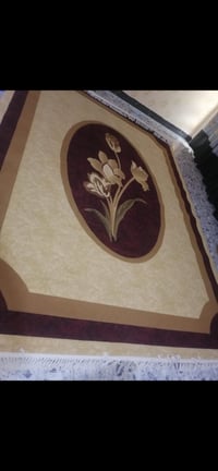 زوليه • ٤في٣ • نظيفه