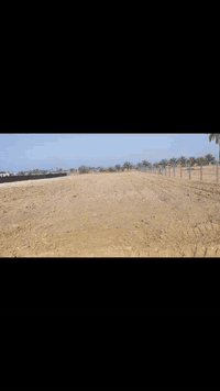 شارع ابو عويجله • ٥٠٠٠م • سند ٢٥