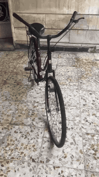 بايكل بناتي • حجم 26 • منثور أحمر